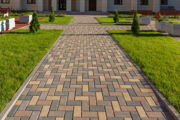 Best Driveway Paving Contractor  in Zebulon, NC